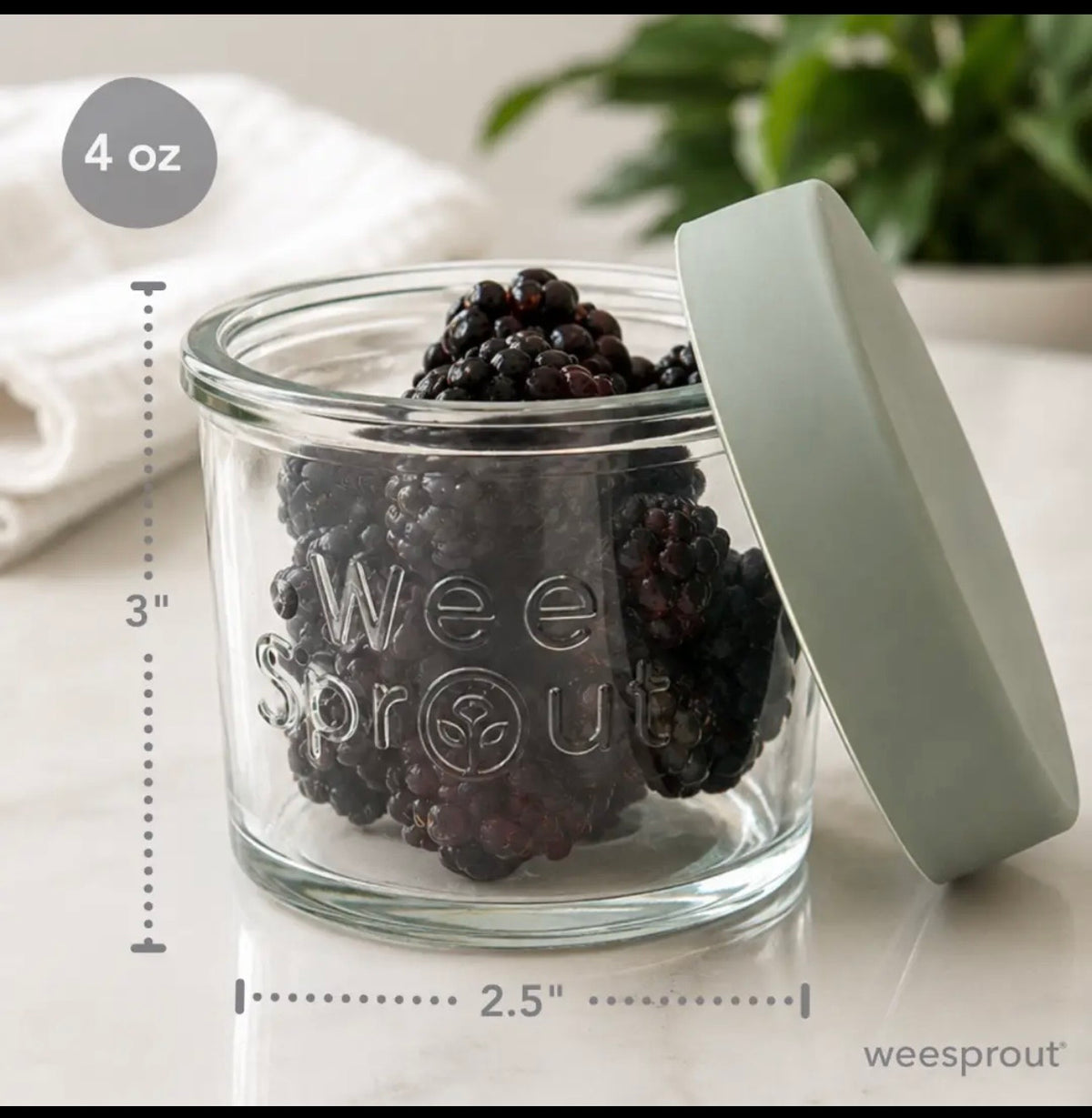 Glass  Food Storage Jars with Silicone Lids – Set of 6