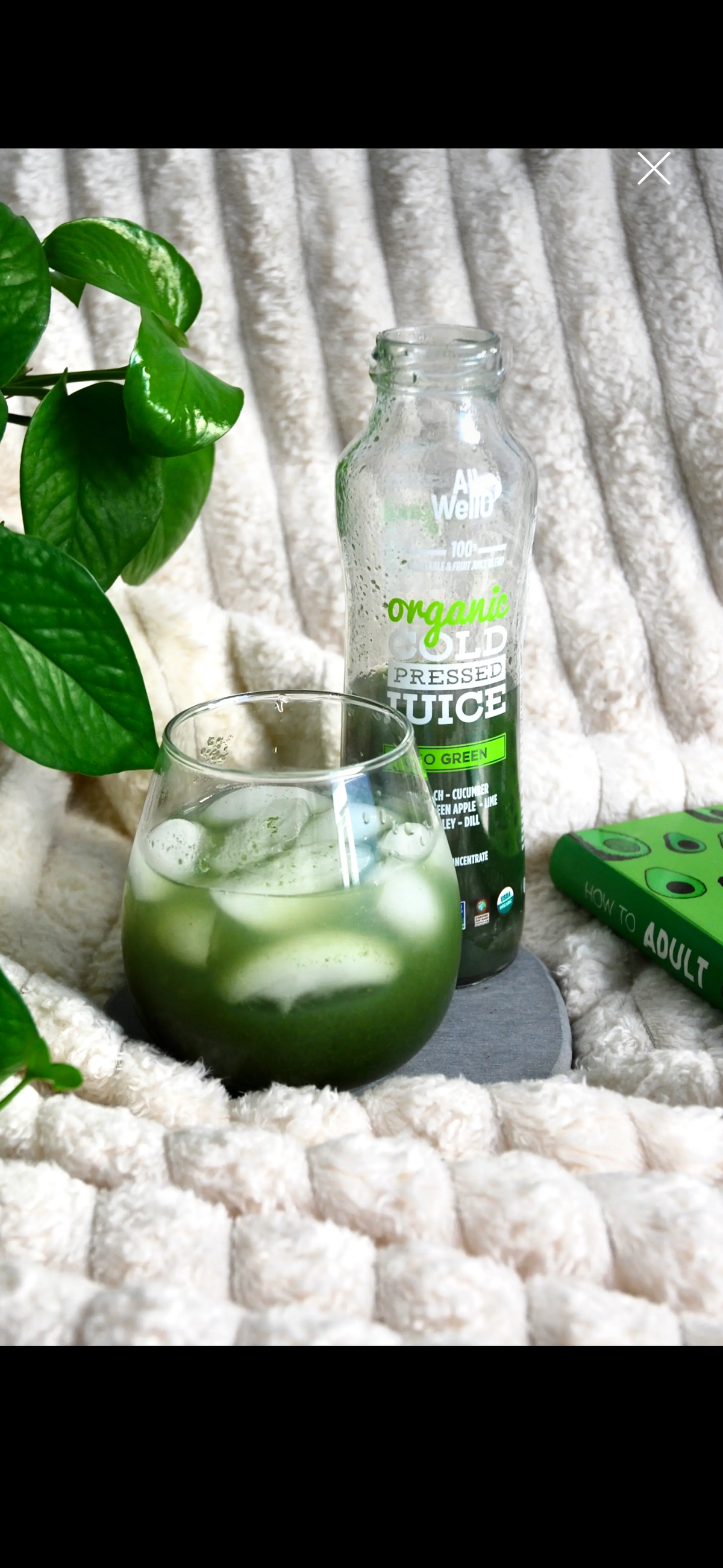 Detox with Organic Cold-Pressed Go Green Juice